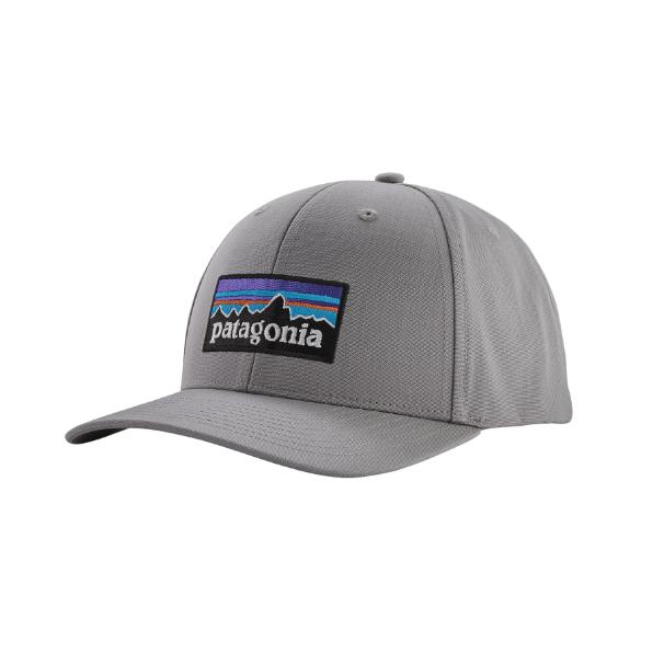 Patagonia roger hot sale that hat