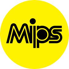 MIPS makes sense