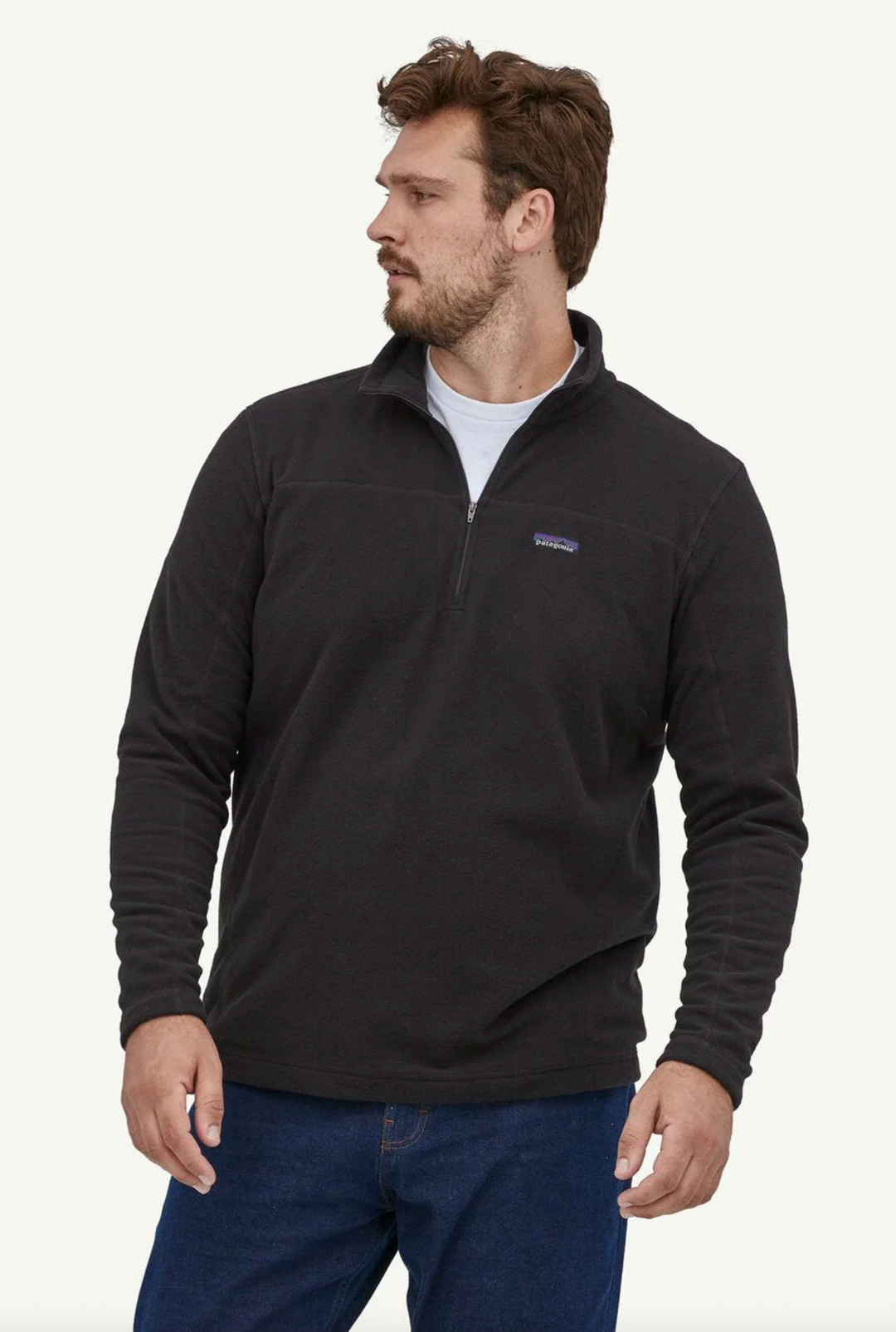 Patagonia Mens Micro D Pullover
