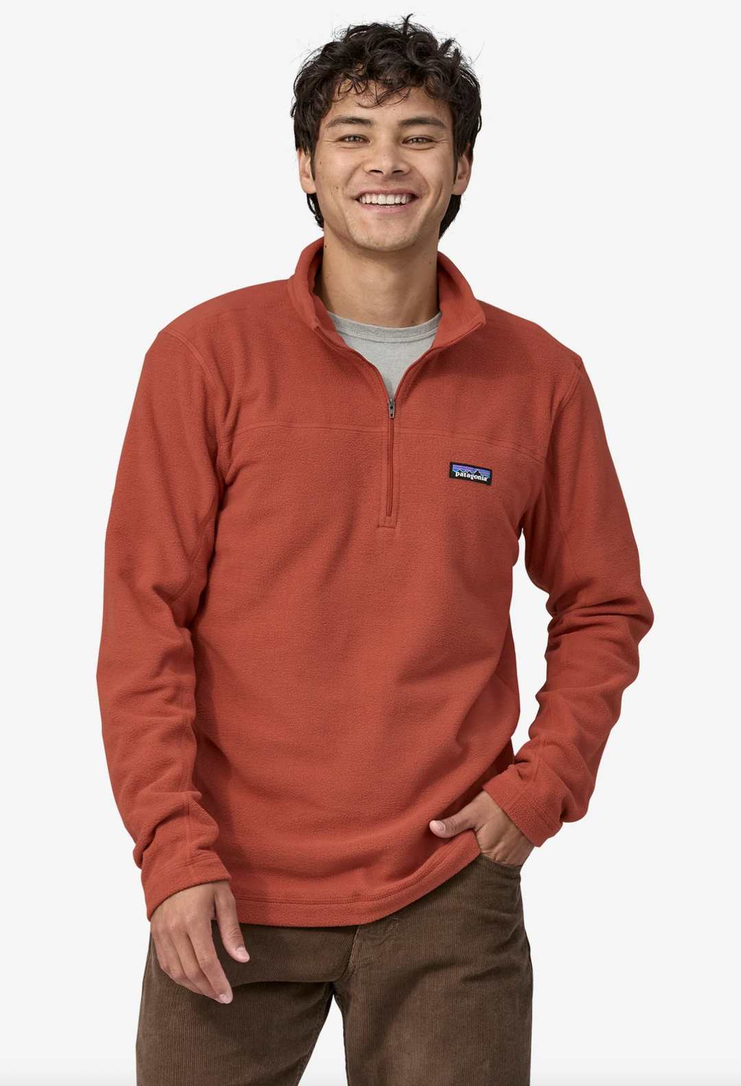 Patagonia Mens Micro D Pullover